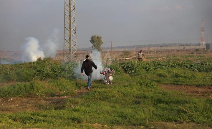 الاحتلال يطلق قنابل الغاز تجاه صائدي العصافير في غزة