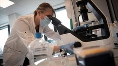 كبيرة علماء منظمة الصحة: أوميكرون "شديد العدوى" لكن لا داعي للذعر