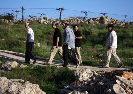 أعمال عربدة للمستوطنين جنوب جنين