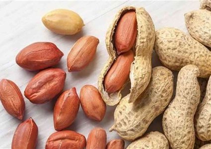 دراسة تكشف فوائد الفول السوداني