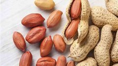 دراسة تكشف فوائد الفول السوداني