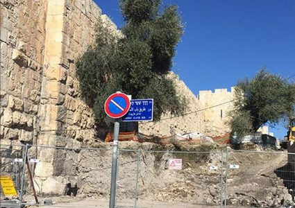 تجريف أراض على المدخل الشرقي لحي "الشيخ جراح" في القدس