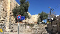 تجريف أراض على المدخل الشرقي لحي "الشيخ جراح" في القدس