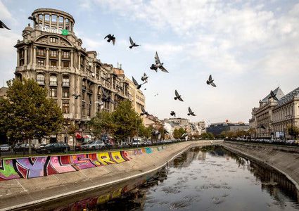 افتتاح مقر الجالية الفلسطينية في العاصمة الرومانية بوخارست