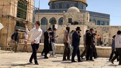 مستوطنون يقتحمون "الأقصى"