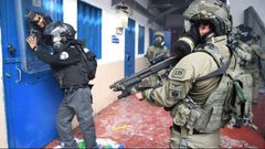 إعلام الأسرى: طعن أحد ضباط إدارة سجون الاحتلال في سجن نفحه