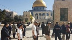 مستوطنون يقتحمون الأقصى