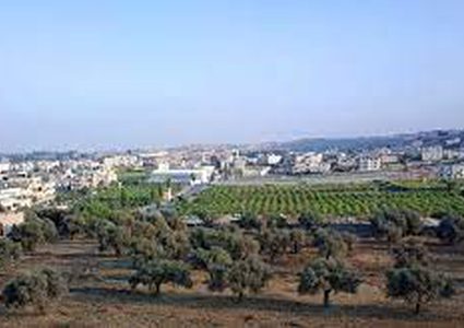 الاحتلال يخطر بوضع اليد على اراض في بلدة الخضر