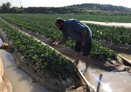 عابدي: كيف يمكن حماية الثروة الحيوانية والنباتية خلال المنخفض