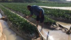 عابدي: كيف يمكن حماية الثروة الحيوانية والنباتية خلال المنخفض