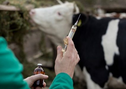 وزارة الزراعة ترسل طعومات بيطرية إلى غزة