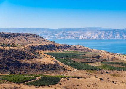 حكومة الاحتلال تعقد جلستها في الجولان للمصادقة على مخطط استيطاني