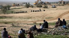 الاحتلل يجرف أراضي زراعية وتتلف محاصيل في النقب