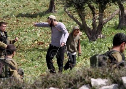 مستوطنون يشقون طريقا ببلدة ترقوميا غرب الخليل