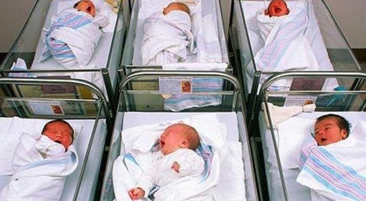 مليونان و313 ألف نسمة تعداد سكان غزة حتى نهاية 2021