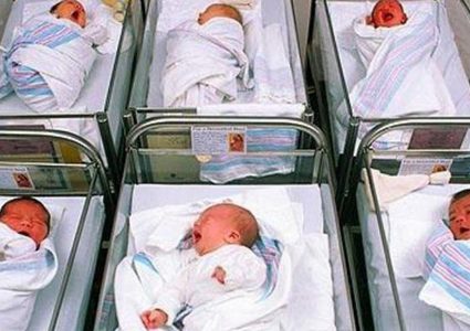 مليونان و313 ألف نسمة تعداد سكان غزة حتى نهاية 2021