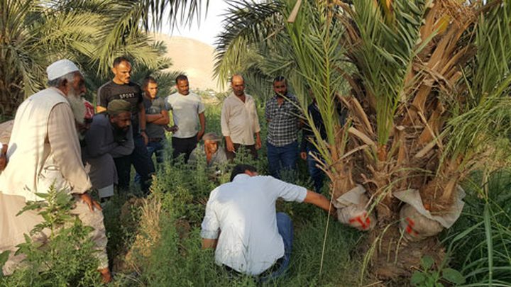 إطلاق مشروع لفائدة 36 جمعية تعاونية في الأغوار