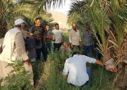 إطلاق مشروع لفائدة 36 جمعية تعاونية في الأغوار