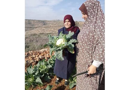 قريوت: أحد الحدائق المنزلية الممولة من مؤسسة دير ماما الداعمة للإحتياج الخاص- ضمن مشاريع جمعية نساء بيتا التنموية