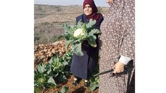 قريوت: أحد الحدائق المنزلية الممولة من مؤسسة دير ماما الداعمة للإحتياج الخاص- ضمن مشاريع جمعية نساء بيتا التنموية