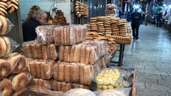 جولة في البلدة القديمة بنابلس صباح اليوم - تصوير سجود جعارة