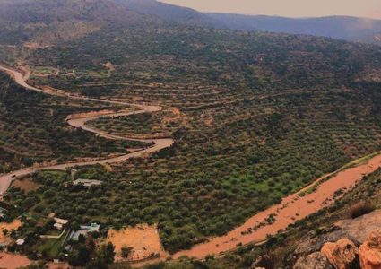 مياه وفيرة تجري في وادٍ بين شمال غرب رام الله وكفر الديك قضاء سلفيت