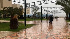 تسود الأجواء الضبابية وشديدة البرودة في جامعة النجاح الوطنية بمدينة نابلس صباح اليوم الأحد .. تصوير سجود جعارة