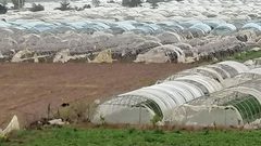 عمر فقهاء: "دمار لا يعد ولا يحصى في الأغوار"