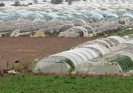 عمر فقهاء: "دمار لا يعد ولا يحصى في الأغوار"