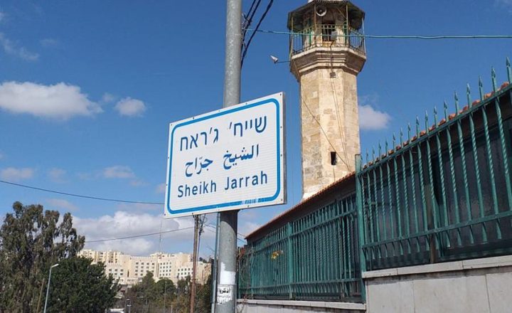 الشيخ يطالب العالم إدانة جريمة إسرائيل في الشيخ جراح