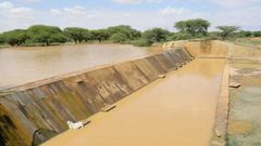 الاحتلال يفتح السدود.. تحذيرات من تعرض 700 دونم زراعي للغرق في غزة