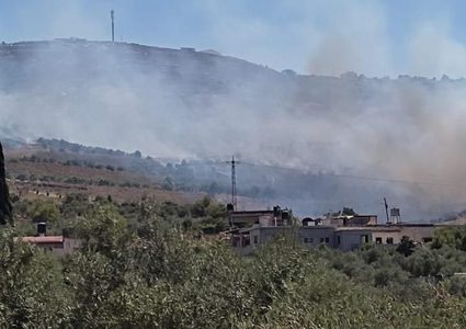 مستوطنون يستولون على 4 دونمات من أراضي كفر الديك غرب سلفيت