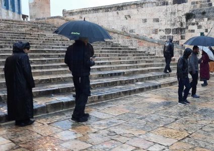 مستوطنون يقتحمون الأقصى بحراسة مشددة من شرطة الاحتلال