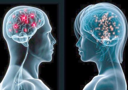 لماذا يختلف دماغ الرجل عن المرأة؟