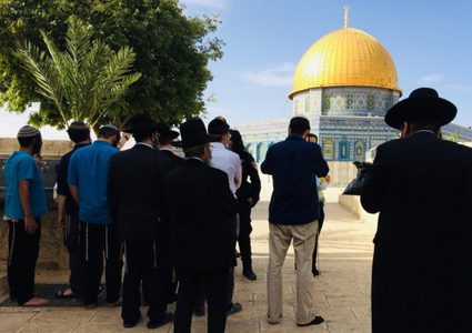 المستوطنين يواصلون اقتحاماتهم للمسجد الأقصى