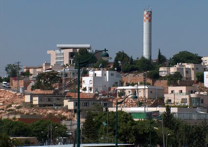 مستوطنون يعتدون على أراضي المواطنين في كفر الديك غرب سلفيت