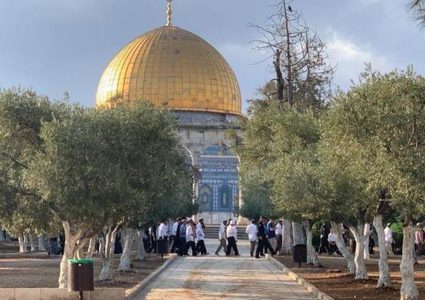 عشرات المستوطنين يقتحمون الأقصى