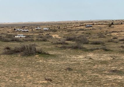 النقب: مصادرة أغنام لمواطنين في منطقة الخبو