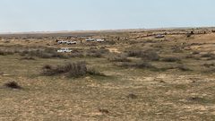 النقب: مصادرة أغنام لمواطنين في منطقة الخبو