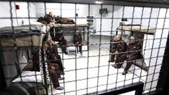 ذوقان: مقاطعة الأسرى لمحاكم الاحتلال يتبعها خطوات سوف تربك حسابات مصلحة السجون