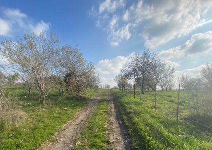 حالة الطقس: أجواء مستقرة وارتفاع على درجات الحرارة