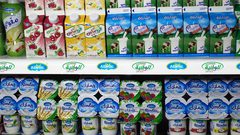 الاقتصاد الوطني: أسعار منتجات الألبان الوطنية تباع بسعرها القديم للمستهلك