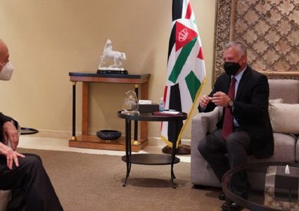 الملك الأردني يبحث مع أبو الغيط التطورات على الساحتين العربية والإقليمية