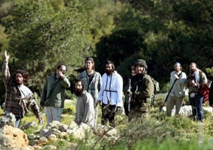 مستوطنون يقتلعون 60 غرسة زيتون في مسافر يطا