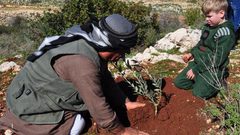 زراعة 100 شجرة زيتون في منطقة الرأس غرب سلفيت