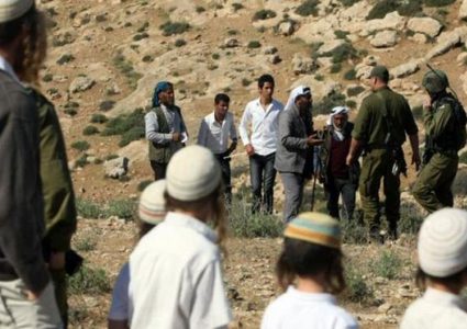 مستوطنون يعتدون على رعاة الماشية في زنوتا جنوب الخليل