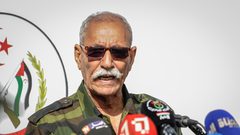 زعيم "البوليساريو" يشارك في القمة الإفريقية الـ35