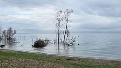 منسوب المياه في بحيرة طبرية يرتفع بـ9 سم