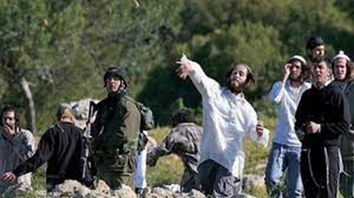 مستوطنون يعربدون على مفرق "عصيون" جنوب بيت لحم