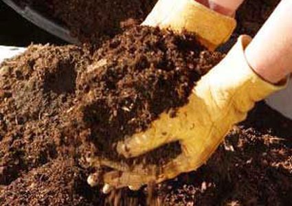 متابعة شكوى مزارع حول غلاء أسعار سماد الزيتون في الأسواق